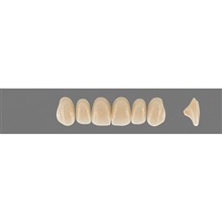 VITA MFT Lower Anterior Classical Shade A2 Mould L33