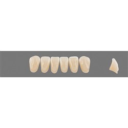 Vita Vitapan 3D, Lower Anterior, Shade 2L15, Mould L10