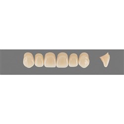 Vita Vitapan 3D, Upper Anterior, Shade 2L25, Mould Z51