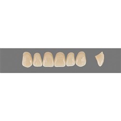 Vita Vitapan 3D, Upper Anterior, Shade 2M3, Mould T53
