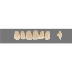 Vita Vitapan 3D, Upper Anterior, Shade 2M3, Mould X13