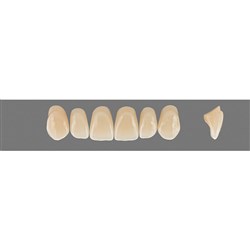 Vita Vitapan 3D, Upper, Anterior, Shade 2R15, Mould T66