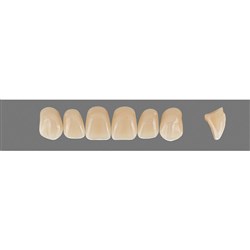 Vita Vitapan 3D, Upper Anterior, Shade 2R25, Mould Z85