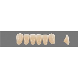 Vita Vitapan 3D, Lower Anterior, Shade 3L25, Mould L12