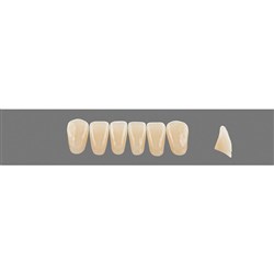 Vita Vitapan 3D, Lower Anterior, Shade 3R15, Mould L13
