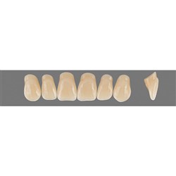 Vita Vitapan 3D, Upper, Anterior, Shade 3R15, Mould T98