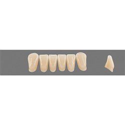 Vita Vitapan 3D, Lower, Anterior, Shade 3R25, Mould L8