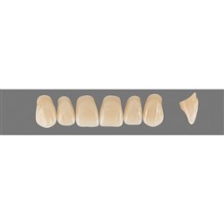 Vita Vitapan 3D, Upper, Anterior, Shade 3R25, Mould X87