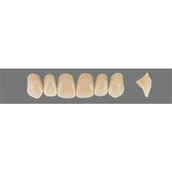 Vita Vitapan 3D, Upper, Anterior, Shade 4L25, Mould O86