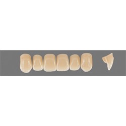 Vita Physiodens 3D, Upper Anterior, Shade 4L25, Mould Z2S
