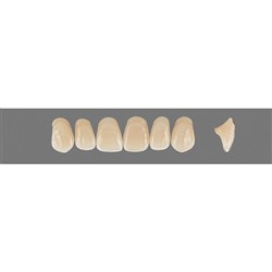 Vita Vitapan 3D, Upper Anterior, Shade 4R15, Mould O43