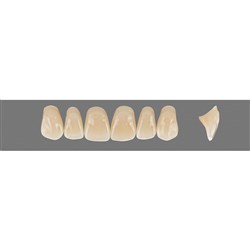 Vita Vitapan 3D, Upper, Anterior, Shade 4R25, Mould O25