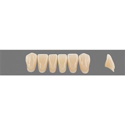 Vita Vitapan 3D, Lower, Anterior, Shade 4R25, Mould L14