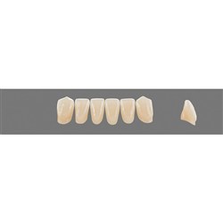 Vita Vitapan 3D, Lower, Anterior, Shade 4R25, Mould L9