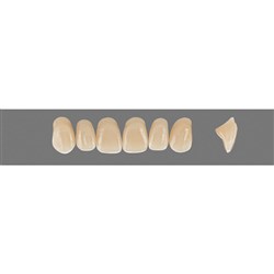 Vita Vitapan 3D, Upper Anterior, Shade 5M1, Mould O34