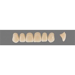 Vita Vitapan 3D, Upper, Anterior, Shade 5M3, Mould Z74