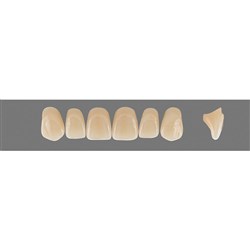 Vita Vitapan 3D, Upper, Anterior, Shade 5M3, Mould Z84