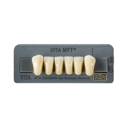 Vita MFT Lower, Anterior, Shade 0M3, Mould L33