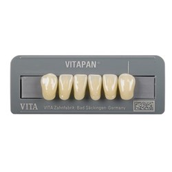 Vita Vitapan Classical Lower, Anterior, Shade A2, Mould L10