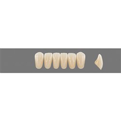 Vita Vitapan Plus Lower, Anterior, Shade A2, Mould L33