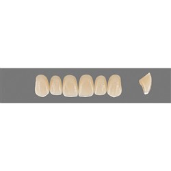 Vita Vitapan Plus Upper, Anterior, Shade A2, Mould O43