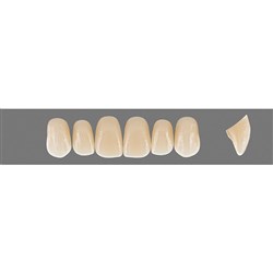 Vita Vitapan Plus Upper, Anterior, Shade A35, Mould O47
