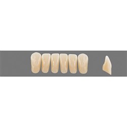 Vita Vitapan Plus, Lower, Anterior, Shade C4, Mould L37L