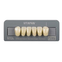 Vita Vitapan Classical Lower, Anterior, Shade D2, Mould L12