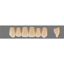 VITA Physiodens Classic, Upper Anterior, Shade B2, Mould T8L