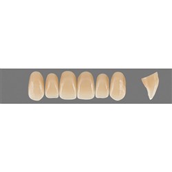 Vita Physiodens Classic, Upper, Anterior, Shade B2, Mould  X2L