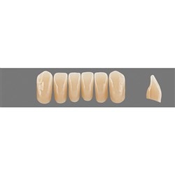 VITA Physiodens Classic, Lower Anterior, Shade B3, Mould L6L
