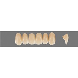 Vita Physiodens Classic, Upper, Anterior, Shade B3, Mould  O1S