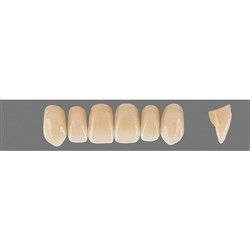 VITA Physiodens Classic, Upper Anterior, Shade B3, Mould T5M