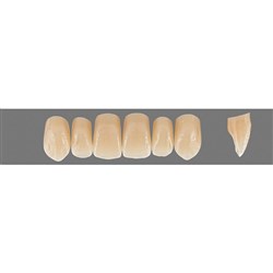 VITA Physiodens Classic, Upper Anterior, Shade B3, Mould X3L