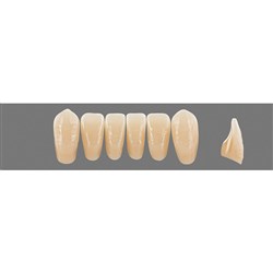VITA Physiodens Classic, Lower Anterior, Shade B4, Mould L8L