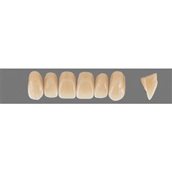VITA Physiodens Classic, Upper Anterior, Shade C1, Mould X1M