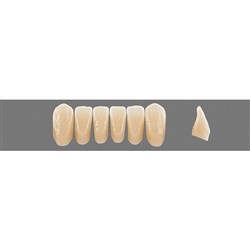 VITA Physiodens Classic, Lower Anterior, Shade C4, Mould L5M