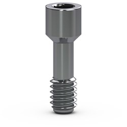 Internal Abutment Screw