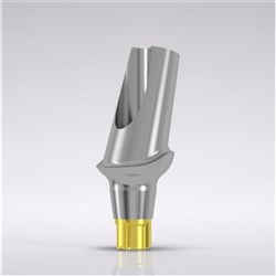 CNLGEsthomic abutment 15d angled Type A D 3.8