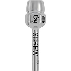 iSy Abutment Screwdriver Wrench Short