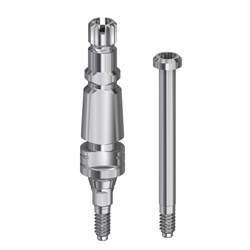 Strau BL NC coping