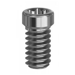 Straum TL Screw on Abut RP/WP