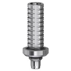 Temp Abutment Eng WP Int Hex
