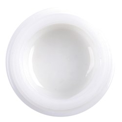 GC Initial IQ Lustre Paste ONE - 3-Dimensional Ceramic Pastes - Neutral Shade L-N - 4grams
