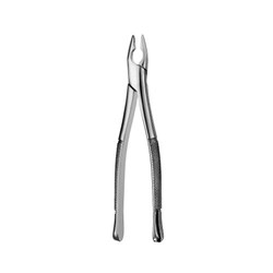 FORCEPS Apical #AFI Upper Anteriors