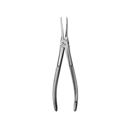 FORCEPS European Style #49 Serrated Upper Roots