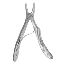 FORCEPS Upper Incisors and Canine Matte Finish