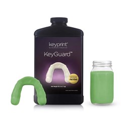 KEYSTONE KeyGuard Print Resin GREEN 1kg