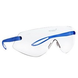 HOGIES Safety Glasses Clear Blue Metallic Frames