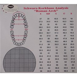 NAOL Schwarz Korkhaus Analysis